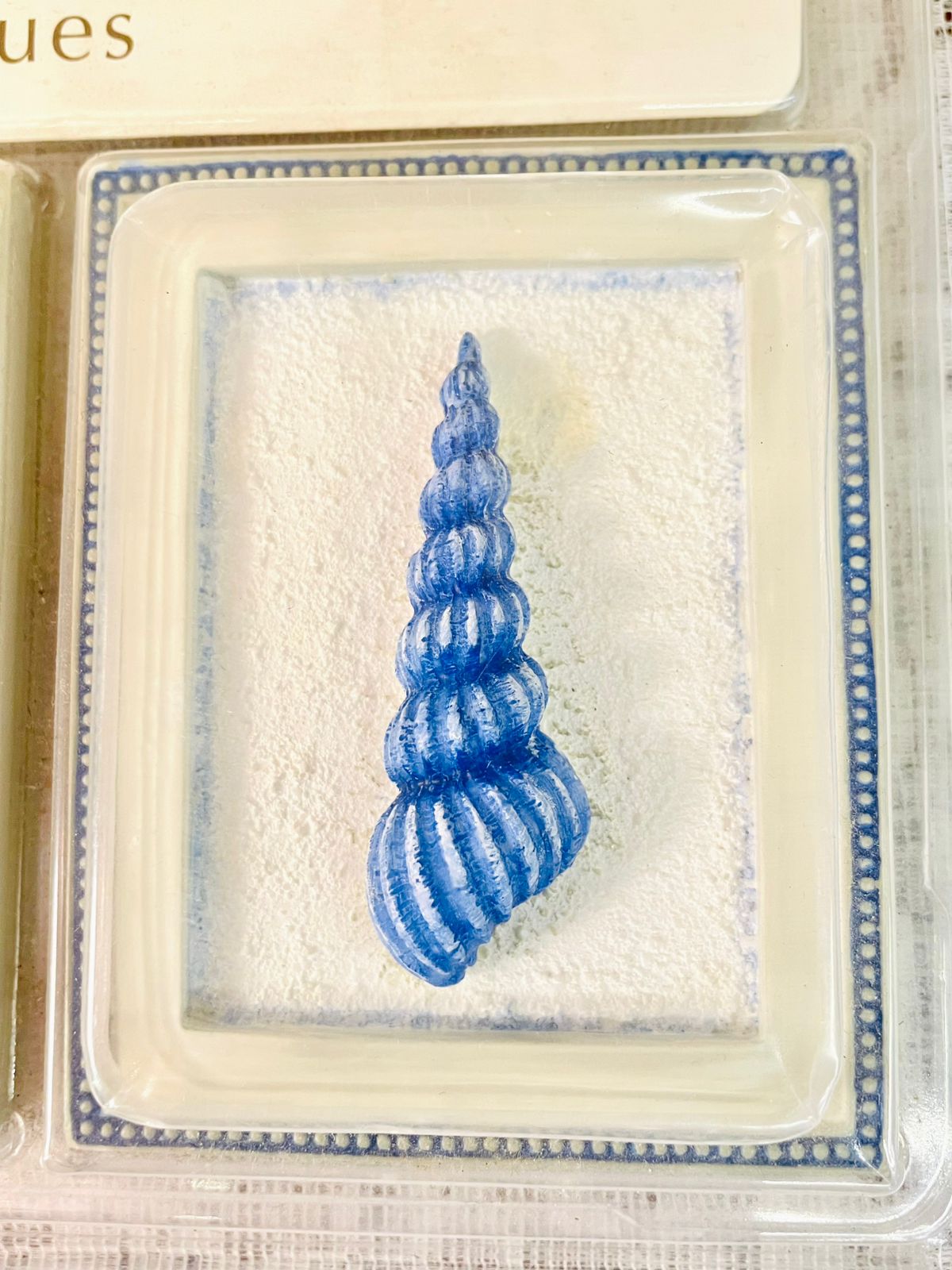 M&S Hand Painted Mini Shell Wall Plaques Set