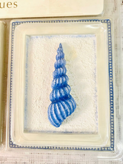 M&S Hand Painted Mini Shell Wall Plaques Set