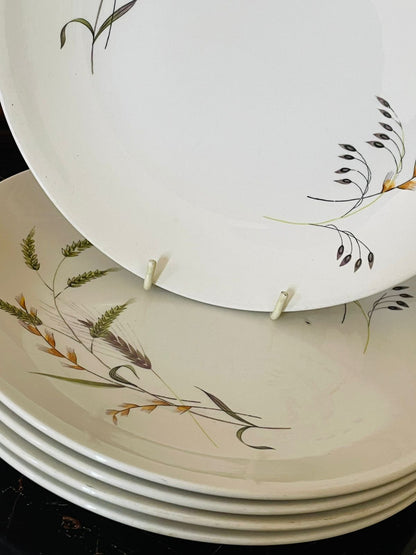 Set of 5 Ridgway Staffordshire “Canadiana” Vintage Dinner Plates – Wheat Sheaf Design (England, 1792 Heritage)