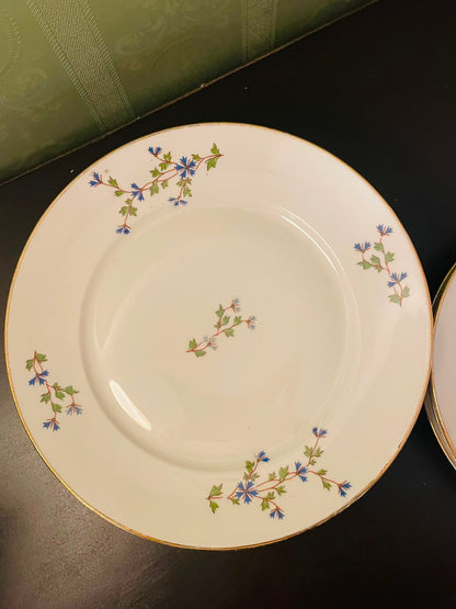 Limoges Floral Porcelain Plate Set of 8 with Gold Trim