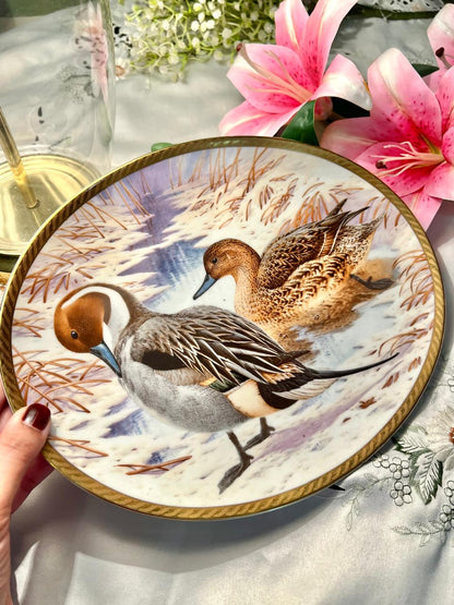 Wild Ducks of Europe Pintail Porcelain Plate 12 in