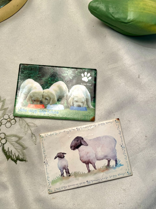 Animal Fridge Magnets – Puppy & Sheep 2 Piece Set