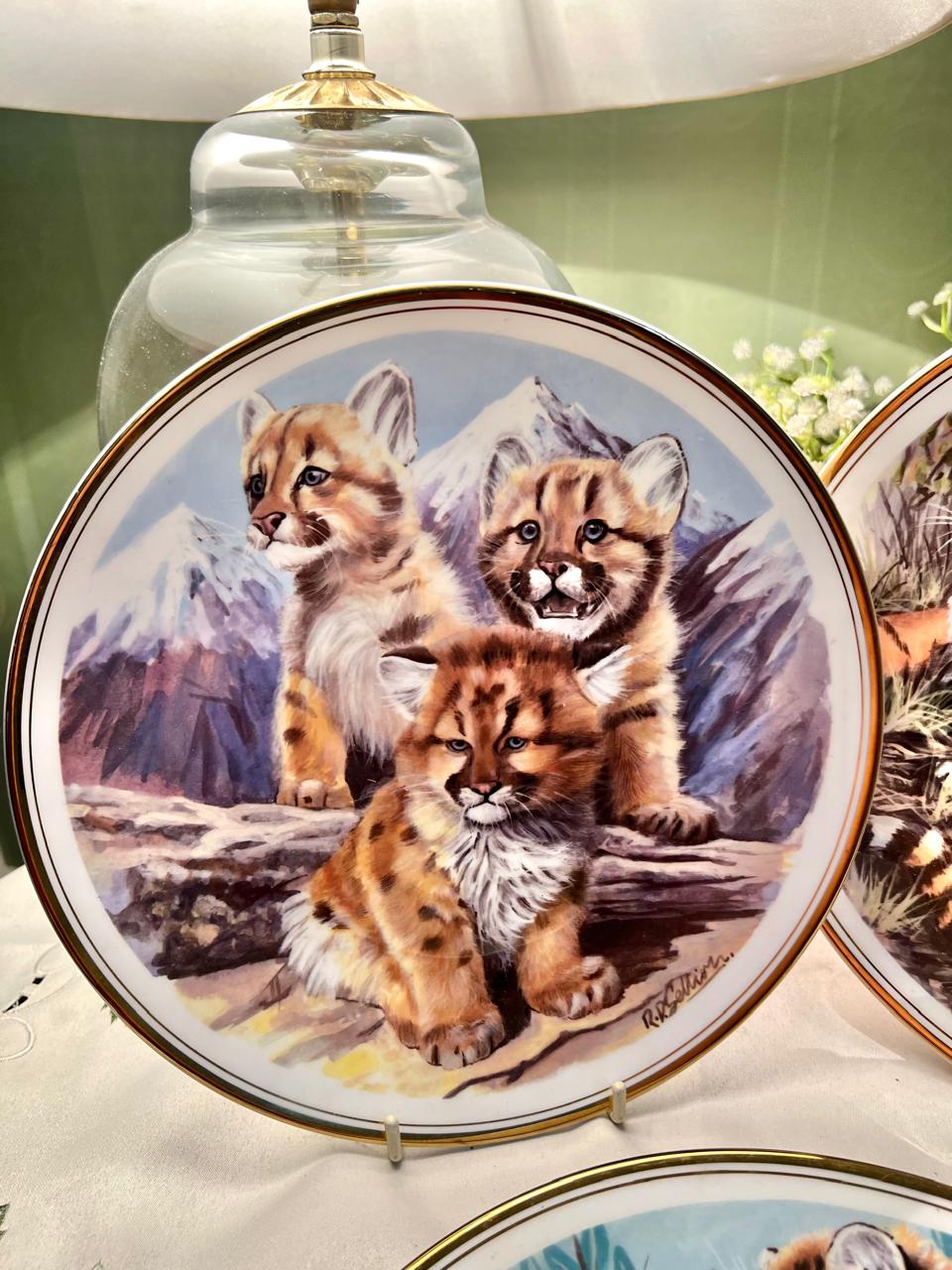 Royal Vale Tigers / Cheetas Wall Plates – 3 Piece Set, 9 Inch