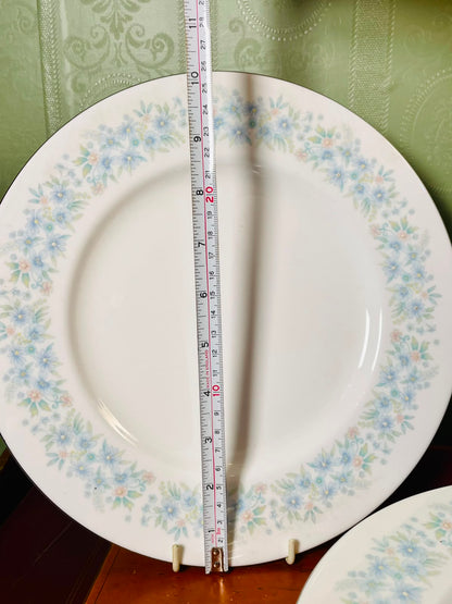 Wedgwood Wyndham Bone China Dinner Plates 10" – Set of 8