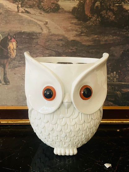 vintage owl planter, ceramic owl holder, home decor Pakistan, sunset kitchen finds, owl vase, owl jar England, collectible ceramic owl, English vintage decor, rare thrift find Pakistan, European ceramic collectibles, table decor Pakistan, boho home styling