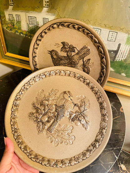 Rare Find - Poole Pottery “The Blackbird” Wall Plates by Barbara Linley Adams – 8.5 inches Vintage Collectible