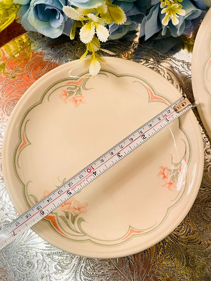 Biltons England Vintage  8 Floral Plates Set Cream