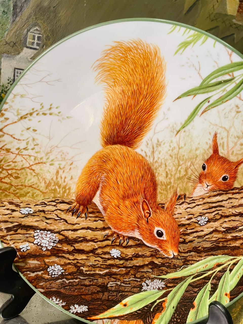 Royal Doulton “Red Squirrels” Collector Plate – 8.5in Wildlife Decor