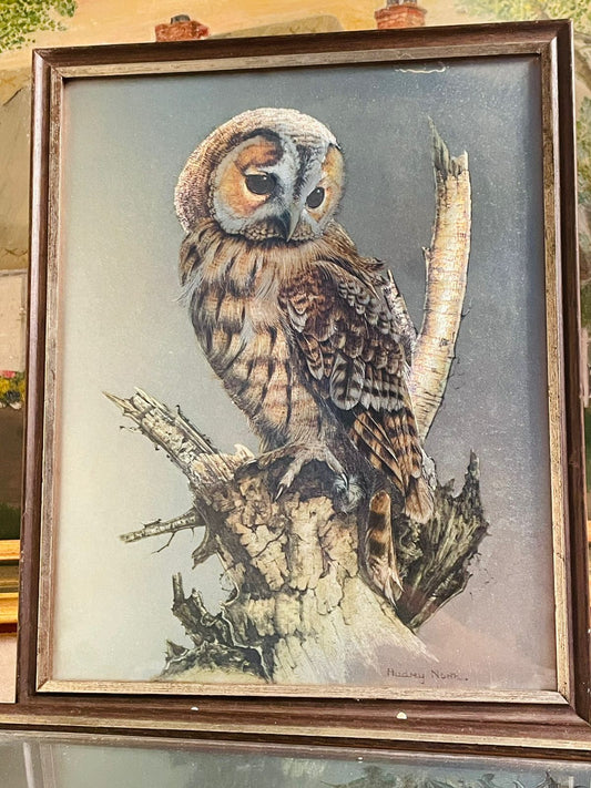 Set of 2 Vintage Audrey North OWL Foil Lithograph Prints – 3D Illustration Framed Art
