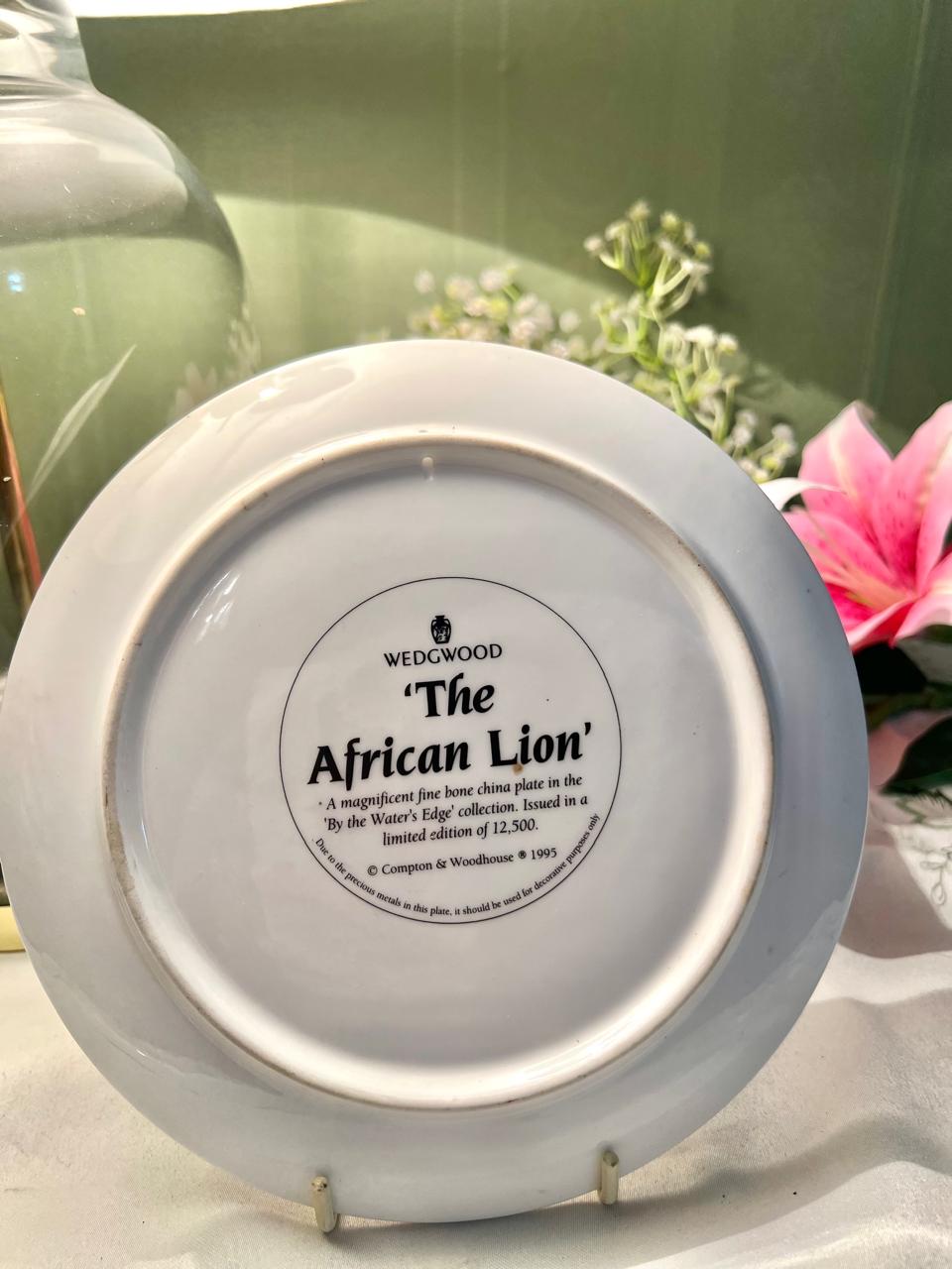 Wedgwood African Lion Fine Bone China Wall Plate – 8 Inch