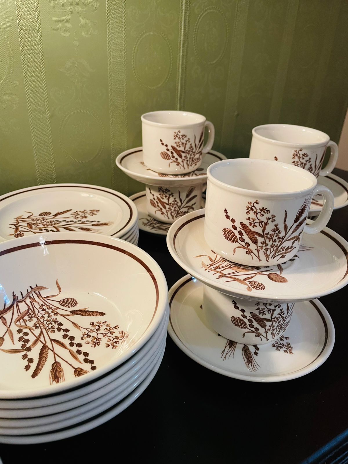 Country Lane J & G Meakin Botanical Tea Set 21 Piece