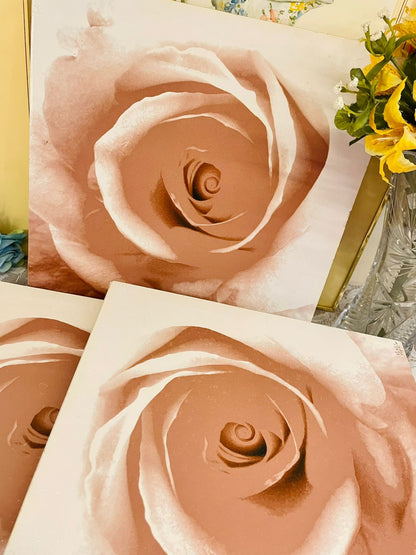 Blush Rose Canvas Wall Art – Set of 3 Floral Painting