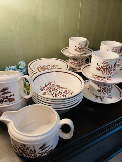 Country Lane J & G Meakin Botanical Tea Set 21 Piece