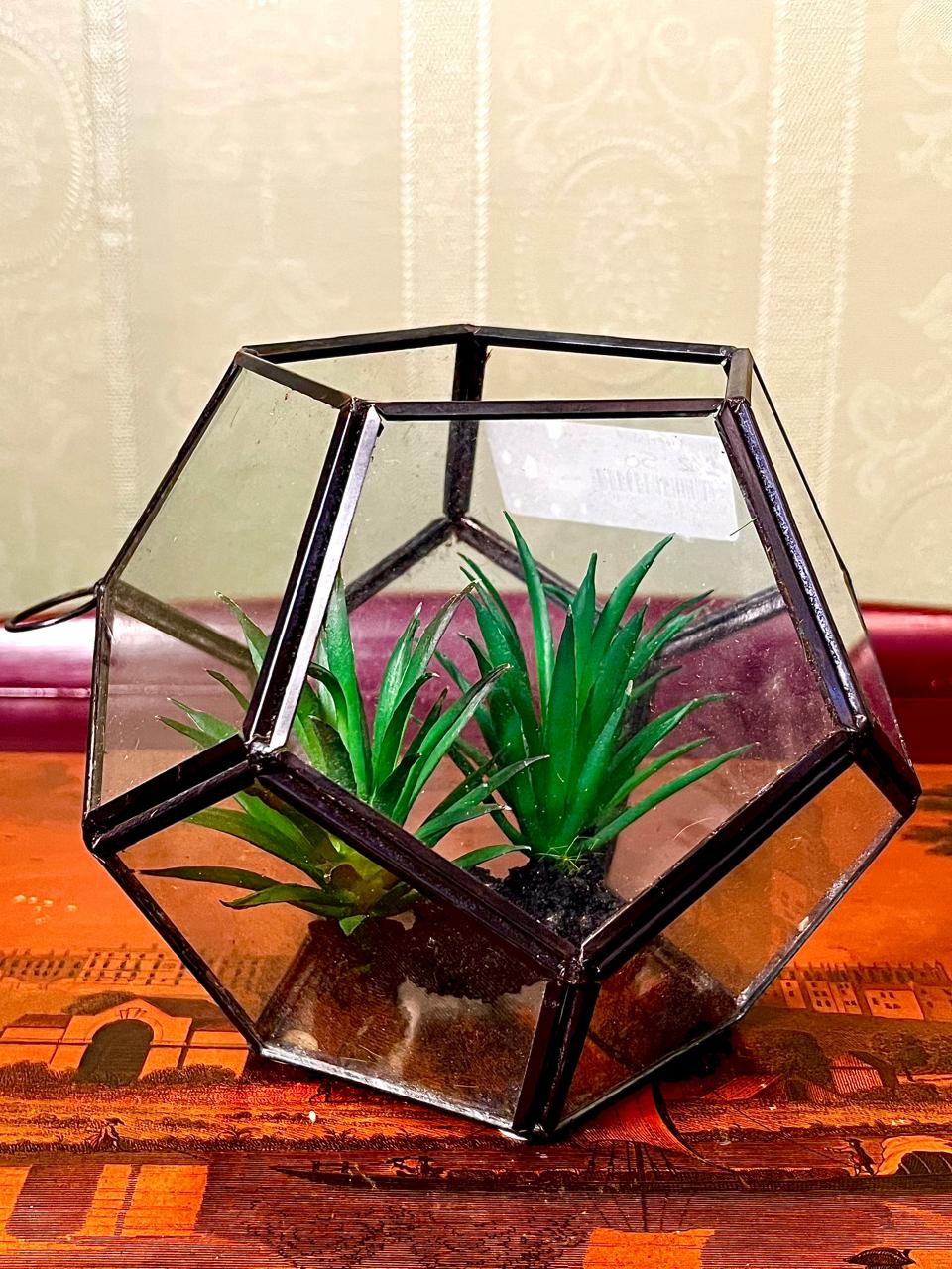 Geometric Glass Terrarium Planter | 5 Inch Modern Display Vase