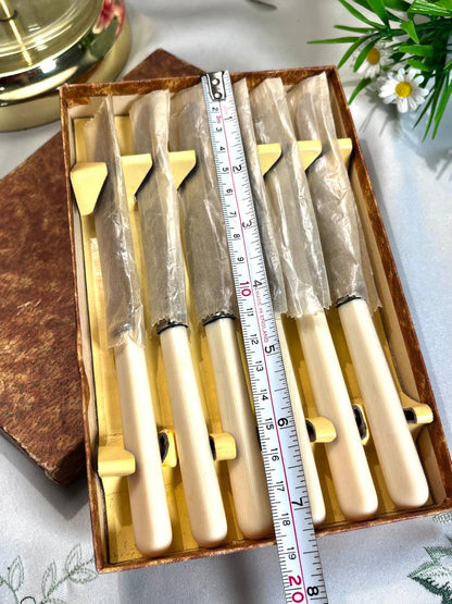 Boxed Silver-Tone Dessert Knives – 6 Pieces, 18 cm