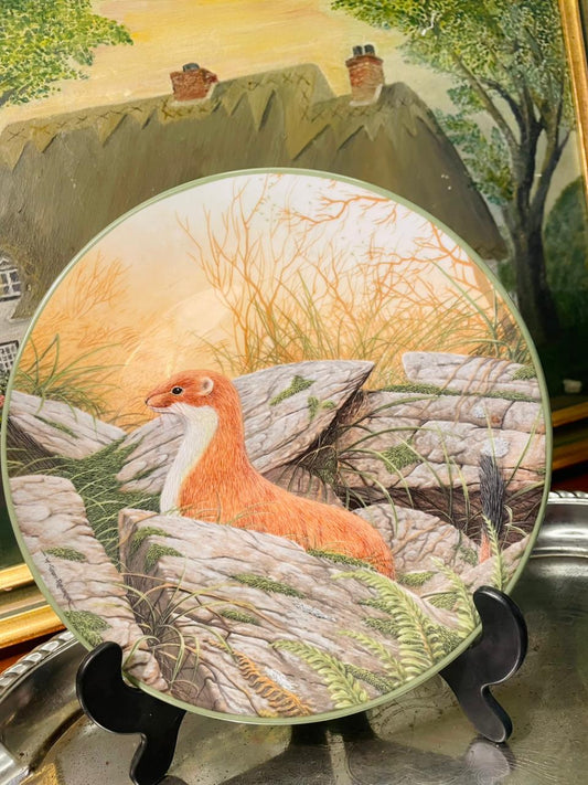 Royal Doulton “Stoat” Collector Plate – 8.5in Wildlife Decor