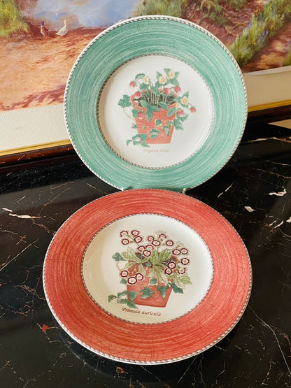 Wedgwood Sarah’s Garden plates
Wedgwood England 1997
Queen’s Ware
botanical collection
vintage Wedgwood tableware
Fragaria Vesca
Primula Auricula
rare Wedgwood plates
English country style
collectible English crockery
rare thrift finds
vintage collect\ion England.