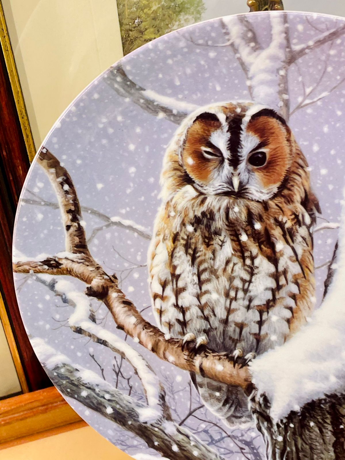 Wedgwood “I Spy” Owl Plate – Woodland Winter Collection – England