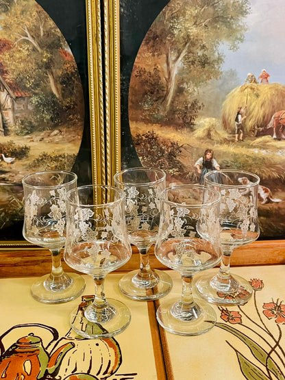 vintage glass set, grape vine etched glasses, dessert stemware, goblets vintage, clear glass cups, european style drinkware, farmhouse table decor, collectible glassware, romantic dining, cottagecore kitchen, elegant glass set, 6 piece stemware