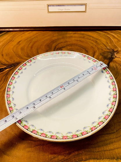 Vintage Pink Rose Border Plates Set of 4