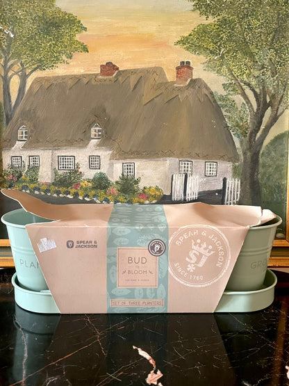 Spear & Jackson “Bud to Bloom” – Set of 3 Herb Planters with Tray (Mint/Sage Green) — England