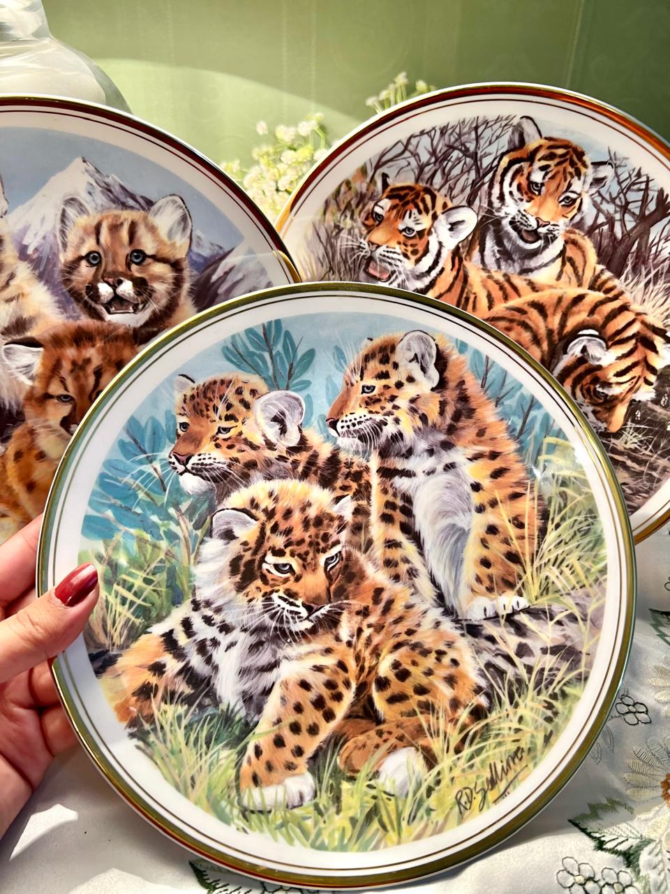 Royal Vale Tigers / Cheetas Wall Plates – 3 Piece Set, 9 Inch