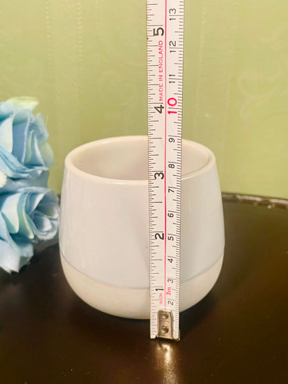 IKEA White Minimal Ceramic Planter – 3.5 Inch