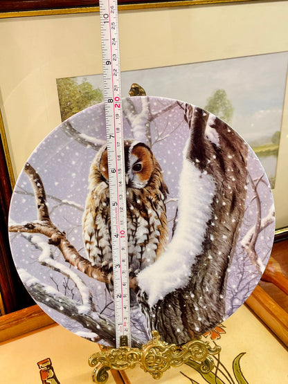 Wedgwood “I Spy” Owl Plate – Woodland Winter Collection – England