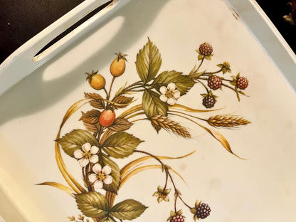 Close-up of blackberry, rosehip, and wheat botanical illustration on tray