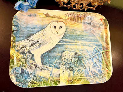Rectangular tray with barn owl watercolor painting signed G Bruzc